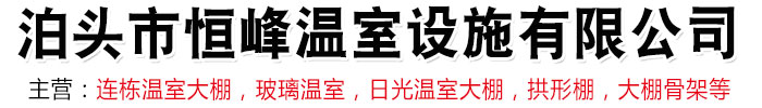 溫室大棚,溫室大棚骨架,連棟溫室大棚,玻璃溫室-泊頭市恒峰溫室設(shè)施有限公司